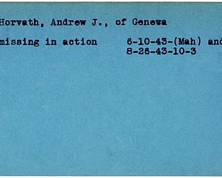 World War II, Vindicator, Andrew J. Horvath, Geneva, missing, 1943, Mahoning