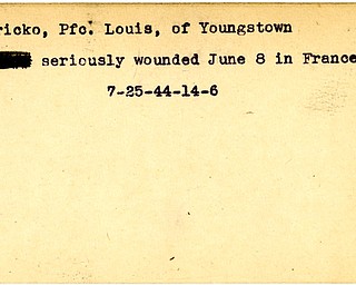 World War II, Vindicator, John Hricko, Youngstown, wounded, France, 1944