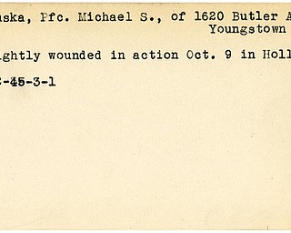 World War II, Vindicator, Michael S. Hruska, Youngstown, wounded, Holland, 1945