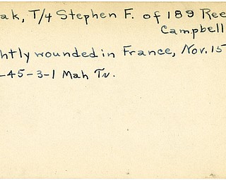 World War II, Vindicator, Stephen F. Hudak, Campbell, wounded, France, 1945, Mahoning, Trumbull