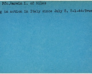 World War II, Vindicator, Darwin L. Jones, Niles, missing, Italy, 1944, Trumbull