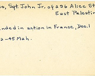 World War II, Vindicator, John Jones Jr., East Palestine, wounded, France, 1945, Mahoning
