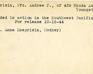 World War II, Vindicator, Andrew J. Kasprisin, Youngstown, wounded, Southwest Pacific, 1944, Anna Kasprisin