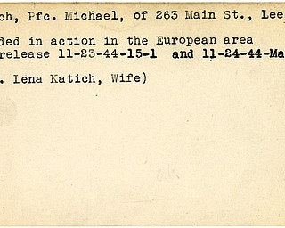 World War II, Vindicator, Michael Katich, Leetonia, wounded, Europe, 1944, Mahoning, Lena Katich