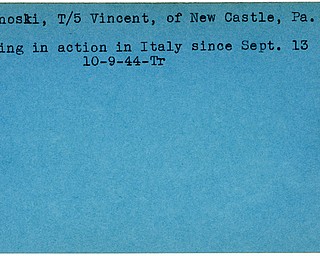 World War II, Vindicator, Vincent Klejnoski, New Castle, Pennsylvania, missing, Italy, 1944, Trumbull