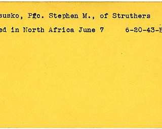 World War II, Vindicator, Stephen M. Kosusko, Struthers, died, North Africa, 1943