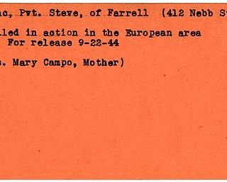 World War II, Vindicator, Steve Kovac, Farrell, killed, Europe, 1944, Mrs. Mary Campo