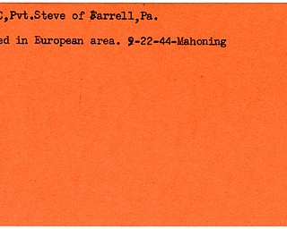 World War II, Vindicator, Steve Koyac, Farrell, Pennsylvania, killed, Europe, 1944, Mahoning