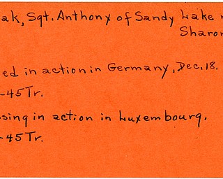 World War II, Vindicator, Anthony Kudiak, Sandy Lake, Sharon, missing, Luxembourg, killed, Germany, 1945, Trumbull