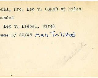 World War II, Vindicator, Leo T. Liebal, Niles, wounded, 1945, Mahoning, Trumbull, Mrs. Leo T. Liebal