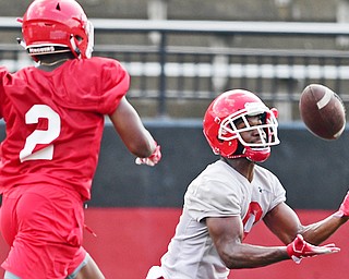 Youngstown State University's Samuel St. Surin, right, catches a pass while being covered by Devanere Crenshaw, during the team's practice Monday at Stambaugh Stadium.