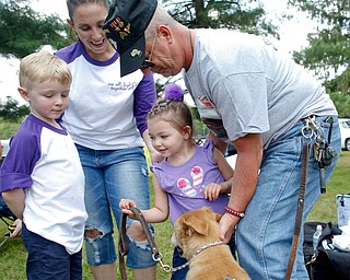 Harper Foley, 4, of Cortland, center, pets Gracy, the service dog of John Rossi, right, with her brother Emmett Foley, 6, and mother Jade Foley at the 41st annual Cars in the Park car show in Boardman Park on Sunday afternoon. Proceeds from the car show will go to Harper, who has Dravet Syndrome, a catastrophic form of epilepsy. EMILY MATTHEWS | THE VINDICATOR