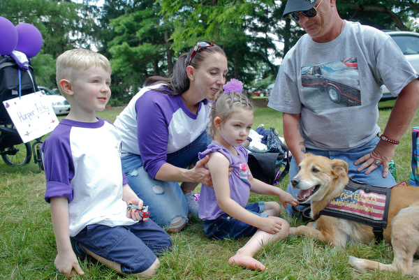 Harper Foley, 4, of Cortland, center, pets Gracy, the service dog of John Rossi, right, with her brother Emmett Foley, 6, and mother Jade Foley at the 41st annual Cars in the Park car show in Boardman Park on Sunday afternoon. Proceeds from the car show will go to Harper, who has Dravet Syndrome, a catastrophic form of epilepsy. EMILY MATTHEWS | THE VINDICATOR