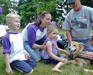 Harper Foley, 4, of Cortland, center, pets Gracy, the service dog of John Rossi, right, with her brother Emmett Foley, 6, and mother Jade Foley at the 41st annual Cars in the Park car show in Boardman Park on Sunday afternoon. Proceeds from the car show will go to Harper, who has Dravet Syndrome, a catastrophic form of epilepsy. EMILY MATTHEWS | THE VINDICATOR