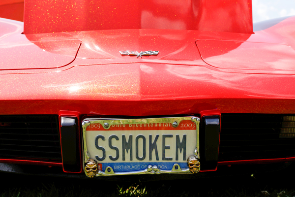 A 1979 Chevrolet Corvette is displayed at the 41st annual Cars in the Park car show in Boardman Park on Sunday afternoon. Proceeds from the car show will go to Harper, Foley, 4, who has Dravet Syndrome, a catastrophic form of epilepsy. EMILY MATTHEWS | THE VINDICATOR