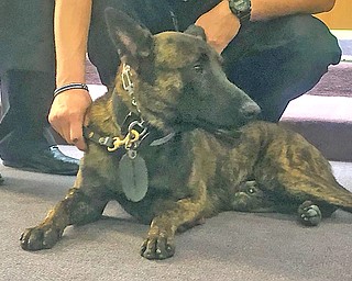 Liberty police have a new dog, Leo, whose job it is to sniff out bad guys and gals and their contraband.