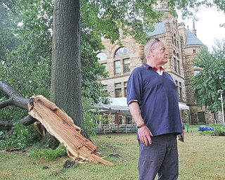 William D. Lewis the vindicator Lee DeJacimo of Warren surveys dame to trees on courthhouse square in Warren after fast moving storm hit Tuesday 8-6-19 afternoon.