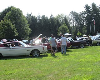 Neighbors | Jessica Harker .More than 400 cars were on display at the Cars in the Park car show at Boardman Park on Aug. 4 hosted by the Olde Car Club.