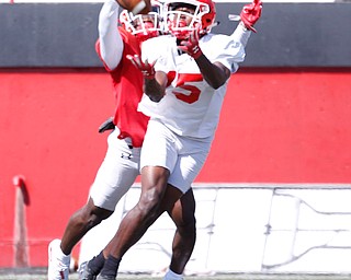 C.J. Charleston prepares to catch the ball as Dee Ford runs up behind him during YSU's scrimmage on Saturday. EMILY MATTHEWS | THE VINDICATOR