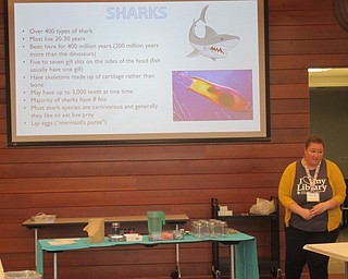 Neighbors | Jessica Harker .Librarian Amelia Dale outlined facts about sharks during the mini shark tank making event at the Michael Kusalaba library July 30.