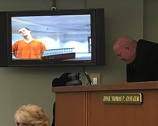Shawn Riley is shown on a video monitor while Judge Thomas Gysegem confers with another court official Wednesday in Warren Municipal Court.