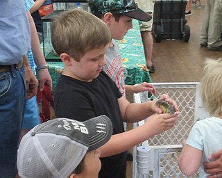 Neighbors | Jessica Harker .Camden Piper is pictured holding a turtle at the MetroParks Farms during the first Nature Live! event.