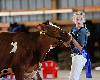 Calee Ruthrauff, 11, of Salem shows her cow Rosie during the Jr. Fair Dairy Showmanship at the Canfield Fair on Thursday. EMILY MATTHEWS | THE VINDICATOR