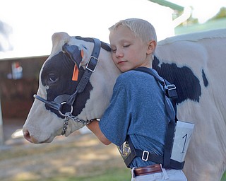 Zachary Norris, 9, of Minerva, embraces his cow Dakota before the Jr. Fair Dairy Showmanship at the Canfield Fair on Thursday. EMILY MATTHEWS | THE VINDICATOR