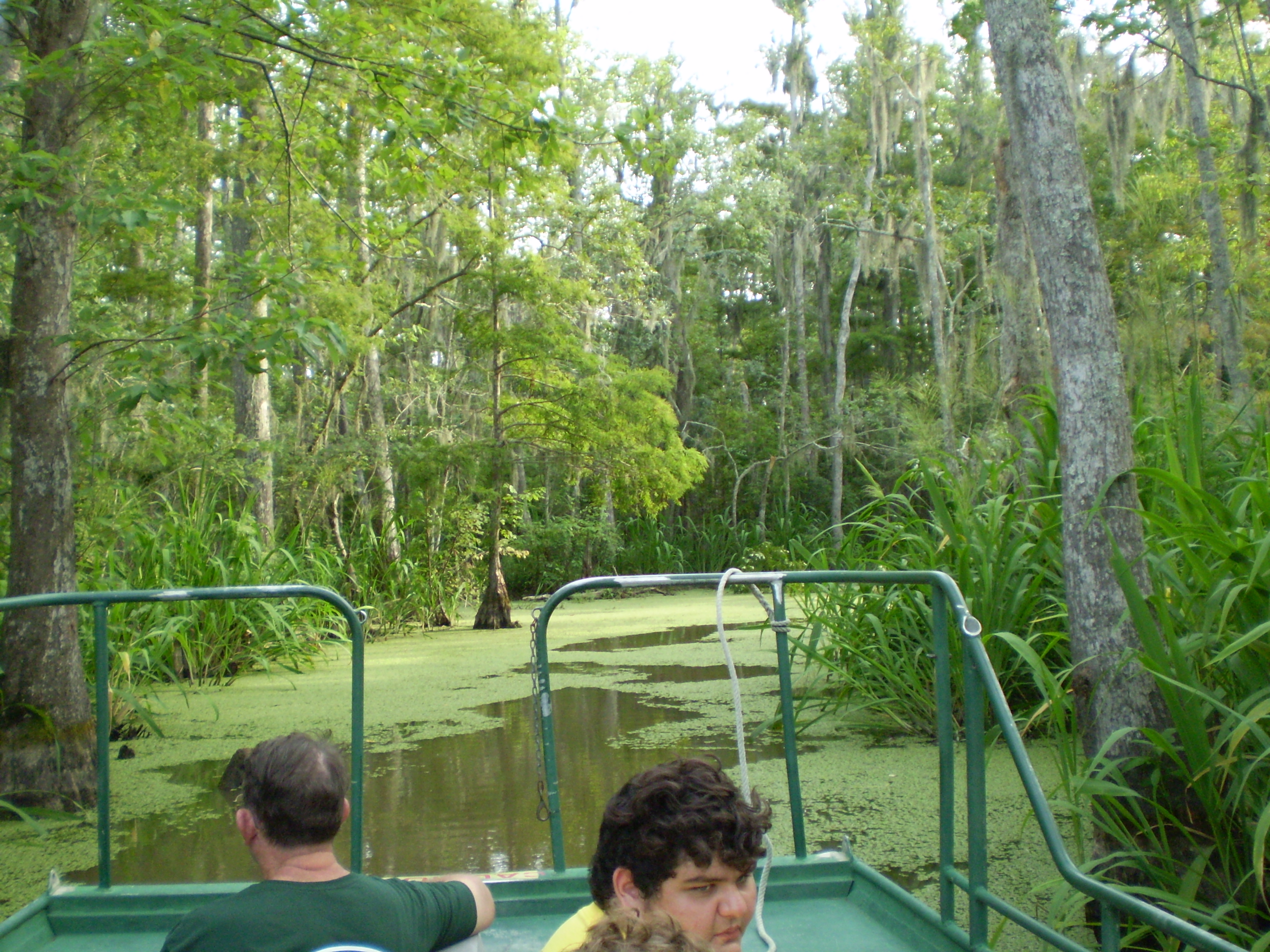 West Pearl River swamp