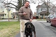 Owner of 5 Rottweilers
