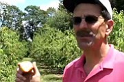 Apple Castle