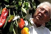 Pepper Grower