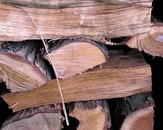 Firewood