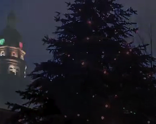 Warren Tree Lighting