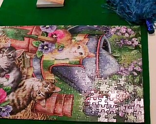Jigsaw Puzzle Contest