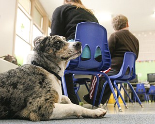 K9 Therapy Poland North Elementary