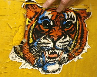 Wild Cat Memory