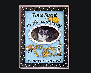 Cat Rescue