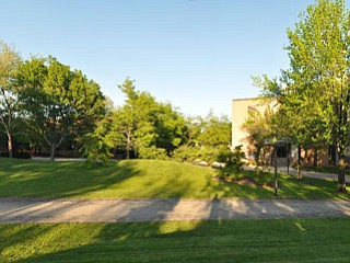 Youngstown State University panorama