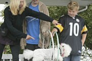 Poodle Show