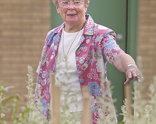Sister Mary's Gardens