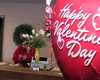 Valentine`s Day Flowers