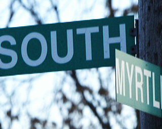South Ave. Survival