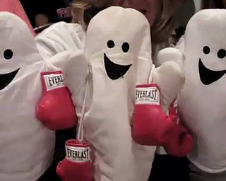 Pavlik Fans