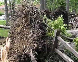 Storms Hit Trumbull County