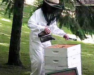 Bee Keeper