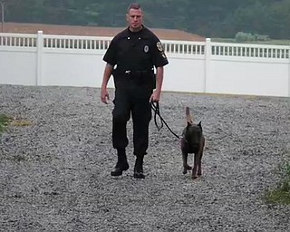 Police Dog