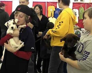 Northeast Ohio Pet Expo