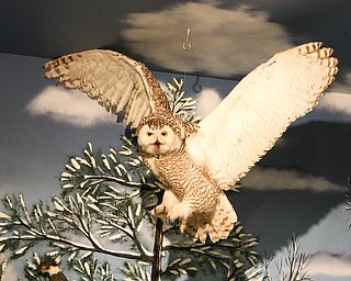 Beaver Creek Wildlife Educaton