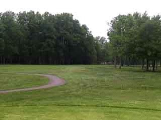 Greatest Golfer | Week 7